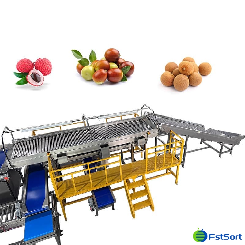 images/1768806328394jujube 1.jpg